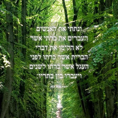 Picture 04 - ירמיה 34:18 HEB - ונתתי את האנשים העברים את - Bible Verse Picture