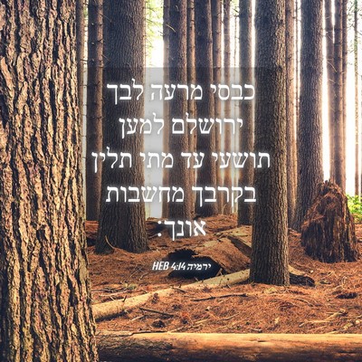 Picture 04 - ירמיה 4:14 HEB - כבסי מרעה לבך ירושלם למען - Bible Verse Picture
