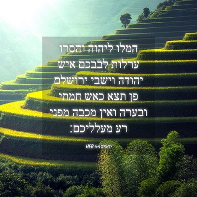 Picture 04 - ירמיה 4:4 HEB - המלו ליהוה והסרו ערלות - Bible Verse Picture