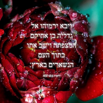Picture 04 - ירמיה 40:6 HEB - ויבא ירמיהו אל גדליה בן - Bible Verse Picture