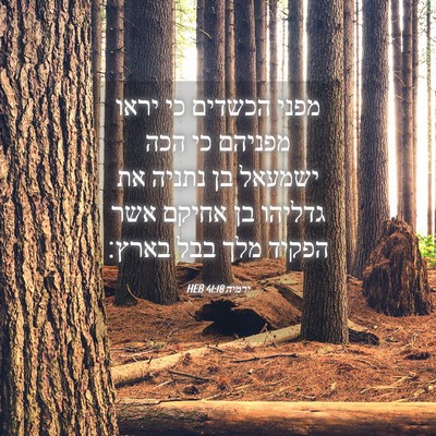 Picture 04 - ירמיה 41:18 HEB - מפני הכשדים כי יראו מפניהם - Bible Verse Picture