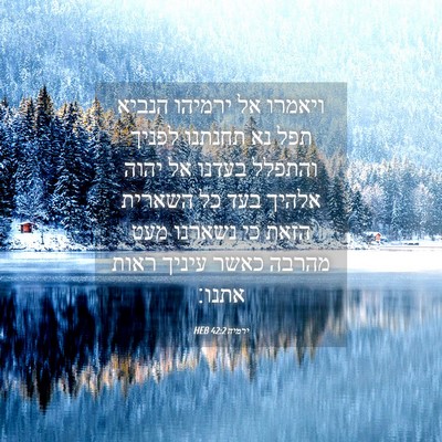 Picture 04 - ירמיה 42:2 HEB - ויאמרו אל ירמיהו הנביא תפל - Bible Verse Picture