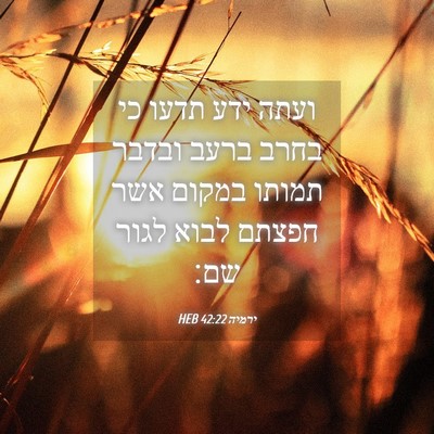 Picture 04 - ירמיה 42:22 HEB - ועתה ידע תדעו כי בחרב ברעב - Bible Verse Picture