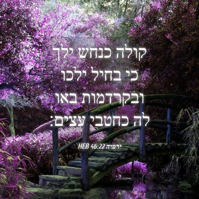 Picture 04 - ירמיה 46:22 HEB - קולה כנחש ילך כי בחיל ילכו - Bible Verse Picture