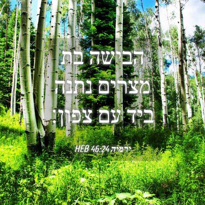 Picture 04 - ירמיה 46:24 HEB - הבישה בת מצרים נתנה ביד עם - Bible Verse Picture