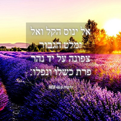 Picture 04 - ירמיה 46:6 HEB - אל ינוס הקל ואל ימלט הגבור - Bible Verse Picture