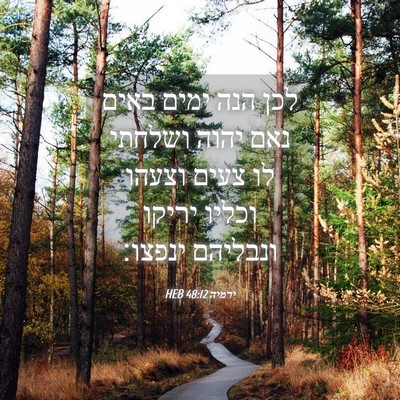 Picture 04 - ירמיה 48:12 HEB - לכן הנה ימים באים נאם יהוה - Bible Verse Picture