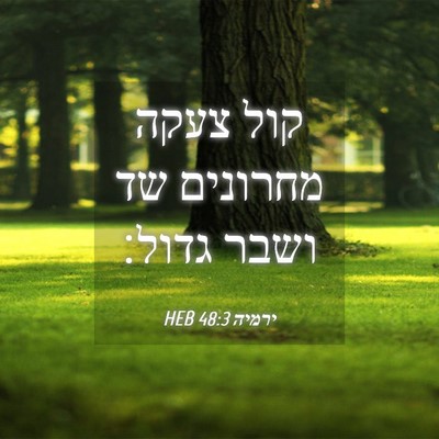 Picture 04 - ירמיה 48:3 HEB - קול צעקה מחרונים שד ושבר - Bible Verse Picture