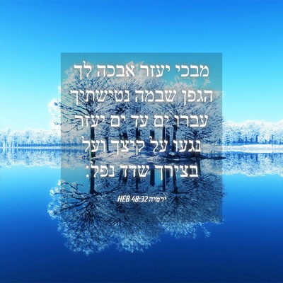 Picture 04 - ירמיה 48:32 HEB - מבכי יעזר אבכה לך הגפן שבמה - Bible Verse Picture