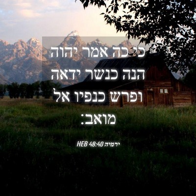 Picture 04 - ירמיה 48:40 HEB - כי כה אמר יהוה הנה כנשר - Bible Verse Picture
