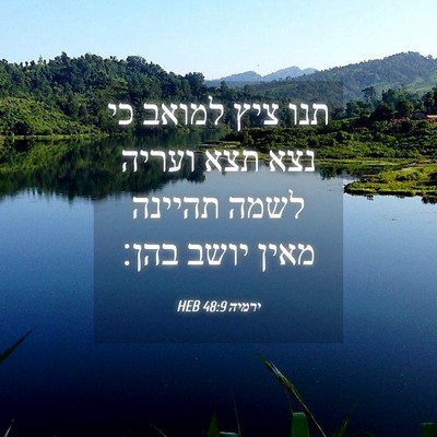 Picture 04 - ירמיה 48:9 HEB - תנו ציץ למואב כי נצא תצא - Bible Verse Picture