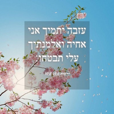 Picture 04 - ירמיה 49:11 HEB - עזבה יתמיך אני אחיה - Bible Verse Picture