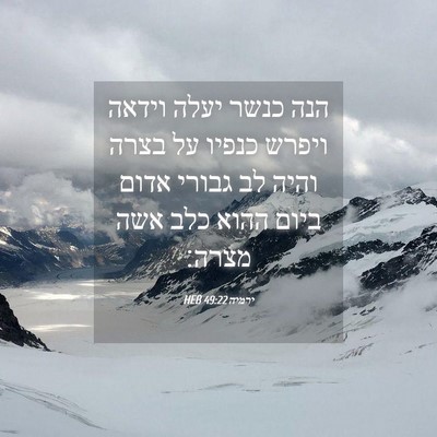 Picture 04 - ירמיה 49:22 HEB - הנה כנשר יעלה וידאה ויפרש - Bible Verse Picture