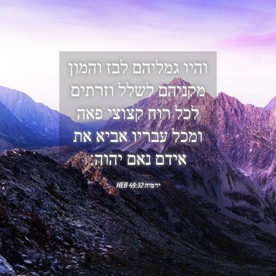 Picture 04 - ירמיה 49:32 HEB - והיו גמליהם לבז והמון - Bible Verse Picture