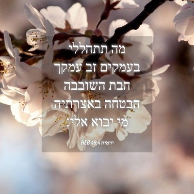 Picture 04 - ירמיה 49:4 HEB - מה תתהללי בעמקים זב עמקך - Bible Verse Picture