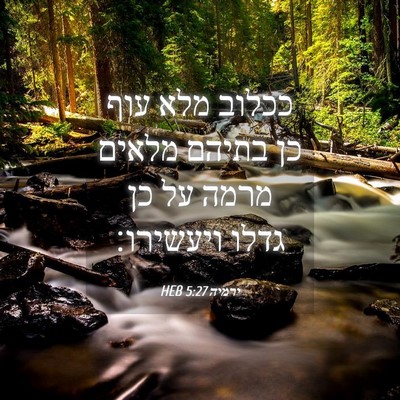 Picture 04 - ירמיה 5:27 HEB - ככלוב מלא עוף כן בתיהם - Bible Verse Picture