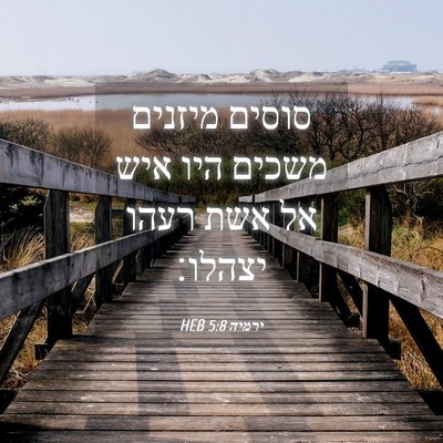 Picture 04 - ירמיה 5:8 HEB - סוסים מיזנים משכים היו איש - Bible Verse Picture