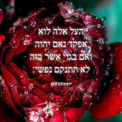 Picture 04 - ירמיה 5:9 HEB - העל אלה לוא אפקד נאם יהוה - Bible Verse Picture