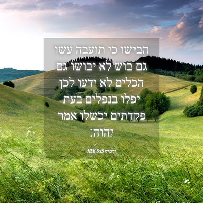 Picture 04 - ירמיה 6:15 HEB - הבישו כי תועבה עשו גם בוש - Bible Verse Picture