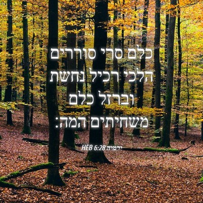 Picture 04 - ירמיה 6:28 HEB - כלם סרי סוררים הלכי רכיל - Bible Verse Picture