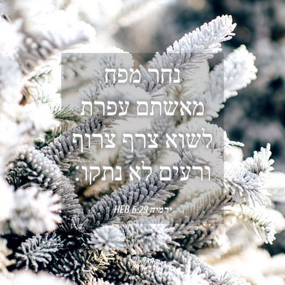 Picture 04 - ירמיה 6:29 HEB - נחר מפח מאשתם עפרת לשוא צרף - Bible Verse Picture