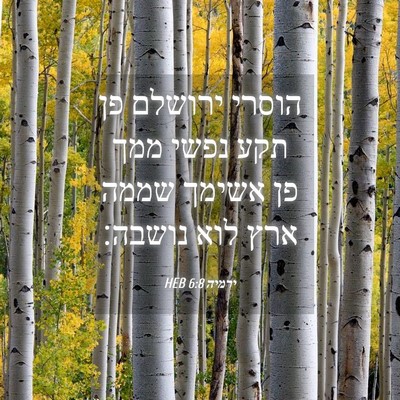 Picture 04 - ירמיה 6:8 HEB - הוסרי ירושלם פן תקע נפשי - Bible Verse Picture