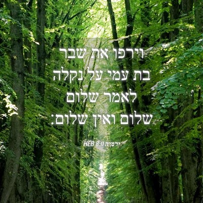 Picture 04 - ירמיה 8:11 HEB - וירפו את שבר בת עמי על נקלה - Bible Verse Picture