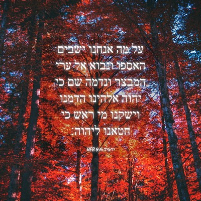 Picture 04 - ירמיה 8:14 HEB - על מה אנחנו ישבים האספו - Bible Verse Picture