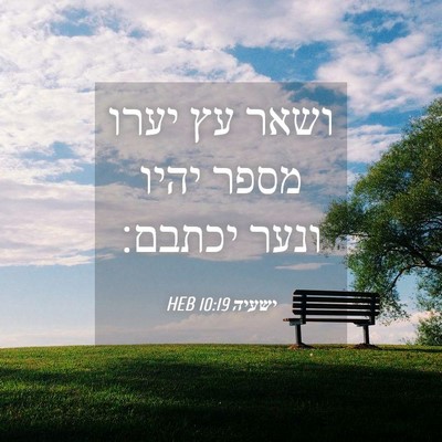 Picture 04 - ישעיה 10:19 HEB - ושאר עץ יערו מספר יהיו ונער - Bible Verse Picture