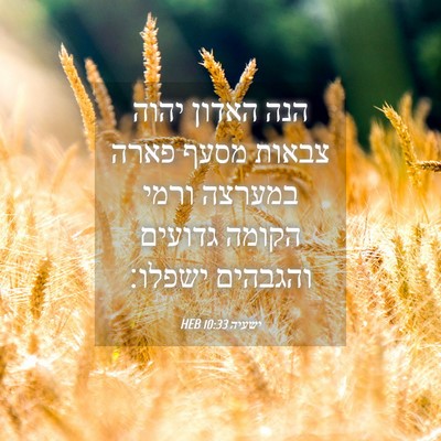 Picture 04 - ישעיה 10:33 HEB - הנה האדון יהוה צבאות מסעף - Bible Verse Picture