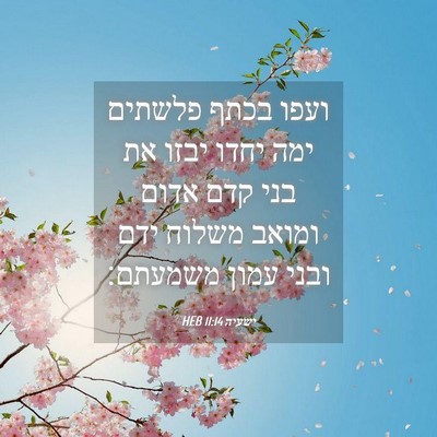 Picture 04 - ישעיה 11:14 HEB - ועפו בכתף פלשתים ימה יחדו - Bible Verse Picture
