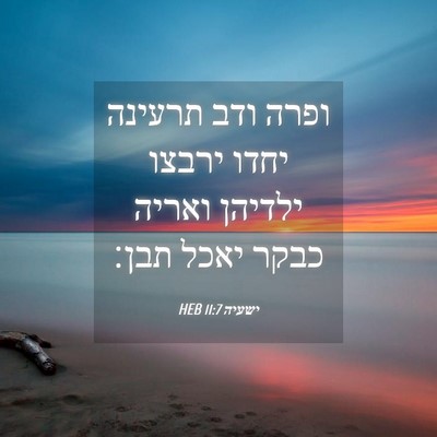 Picture 04 - ישעיה 11:7 HEB - ופרה ודב תרעינה יחדו ירבצו - Bible Verse Picture