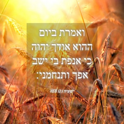 Picture 04 - ישעיה 12:1 HEB - ואמרת ביום ההוא אודך יהוה - Bible Verse Picture