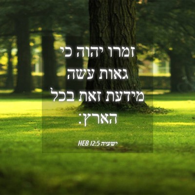 Picture 04 - ישעיה 12:5 HEB - זמרו יהוה כי גאות עשה מידעת - Bible Verse Picture