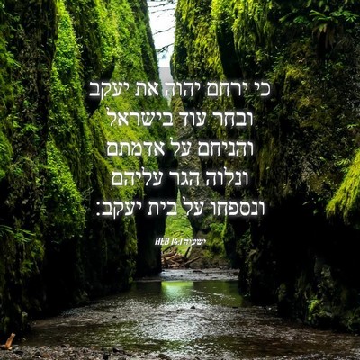 Picture 04 - ישעיה 14:1 HEB - כי ירחם יהוה את יעקב ובחר - Bible Verse Picture