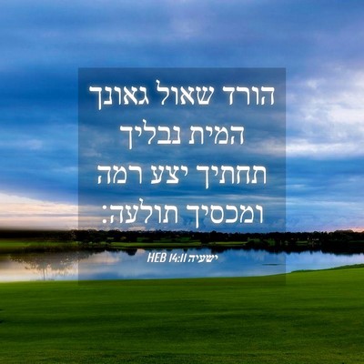 Picture 04 - ישעיה 14:11 HEB - הורד שאול גאונך המית נבליך - Bible Verse Picture