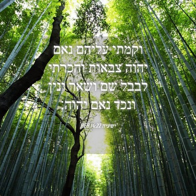 Picture 04 - ישעיה 14:22 HEB - וקמתי עליהם נאם יהוה צבאות - Bible Verse Picture