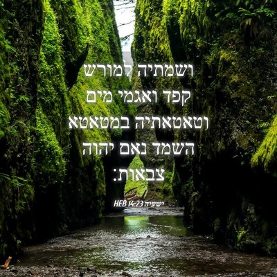 Picture 04 - ישעיה 14:23 HEB - ושמתיה למורש קפד ואגמי מים - Bible Verse Picture