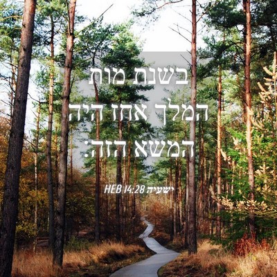 Picture 04 - ישעיה 14:28 HEB - בשנת מות המלך אחז היה המשא - Bible Verse Picture