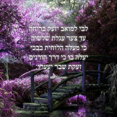 Picture 04 - ישעיה 15:5 HEB - לבי למואב יזעק בריחה עד צער - Bible Verse Picture