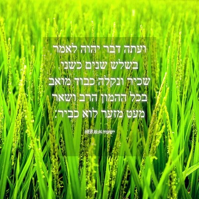 Picture 04 - ישעיה 16:14 HEB - ועתה דבר יהוה לאמר בשלש - Bible Verse Picture