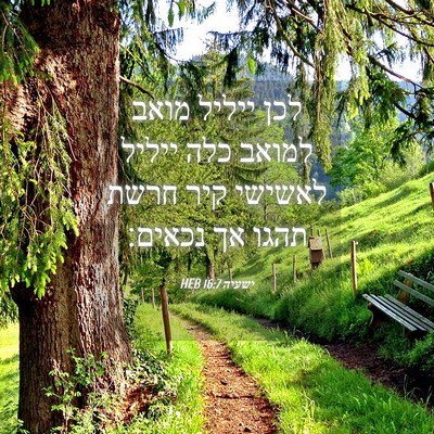 Picture 04 - ישעיה 16:7 HEB - לכן ייליל מואב למואב כלה - Bible Verse Picture