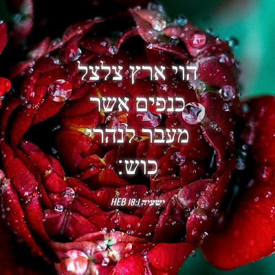 Picture 04 - ישעיה 18:1 HEB - הוי ארץ צלצל כנפים אשר מעבר - Bible Verse Picture