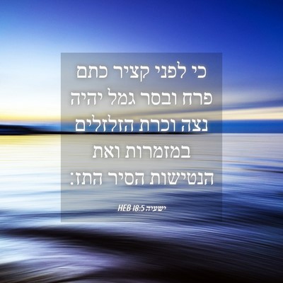 Picture 04 - ישעיה 18:5 HEB - כי לפני קציר כתם פרח ובסר - Bible Verse Picture