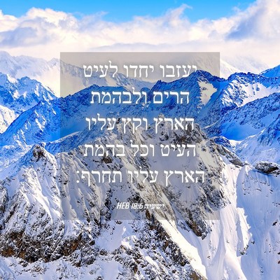 Picture 04 - ישעיה 18:6 HEB - יעזבו יחדו לעיט הרים - Bible Verse Picture