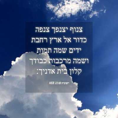 Picture 04 - ישעיה 22:18 HEB - צנוף יצנפך צנפה כדור אל ארץ - Bible Verse Picture