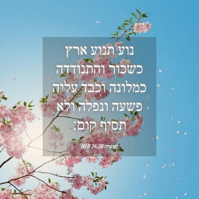 Picture 04 - ישעיה 24:20 HEB - נוע תנוע ארץ כשכור - Bible Verse Picture