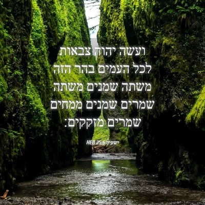 Picture 04 - ישעיה 25:6 HEB - ועשה יהוה צבאות לכל העמים - Bible Verse Picture