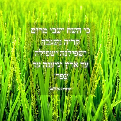 Picture 04 - ישעיה 26:5 HEB - כי השח ישבי מרום קריה נשגבה - Bible Verse Picture