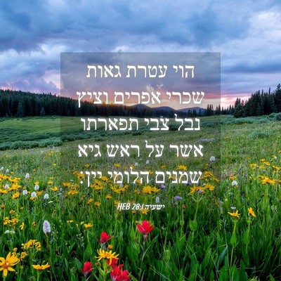 Picture 04 - ישעיה 28:1 HEB - הוי עטרת גאות שכרי אפרים - Bible Verse Picture